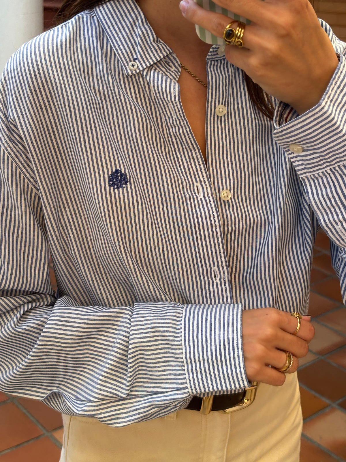 Camisa Riscas Azul e Branco Springfield